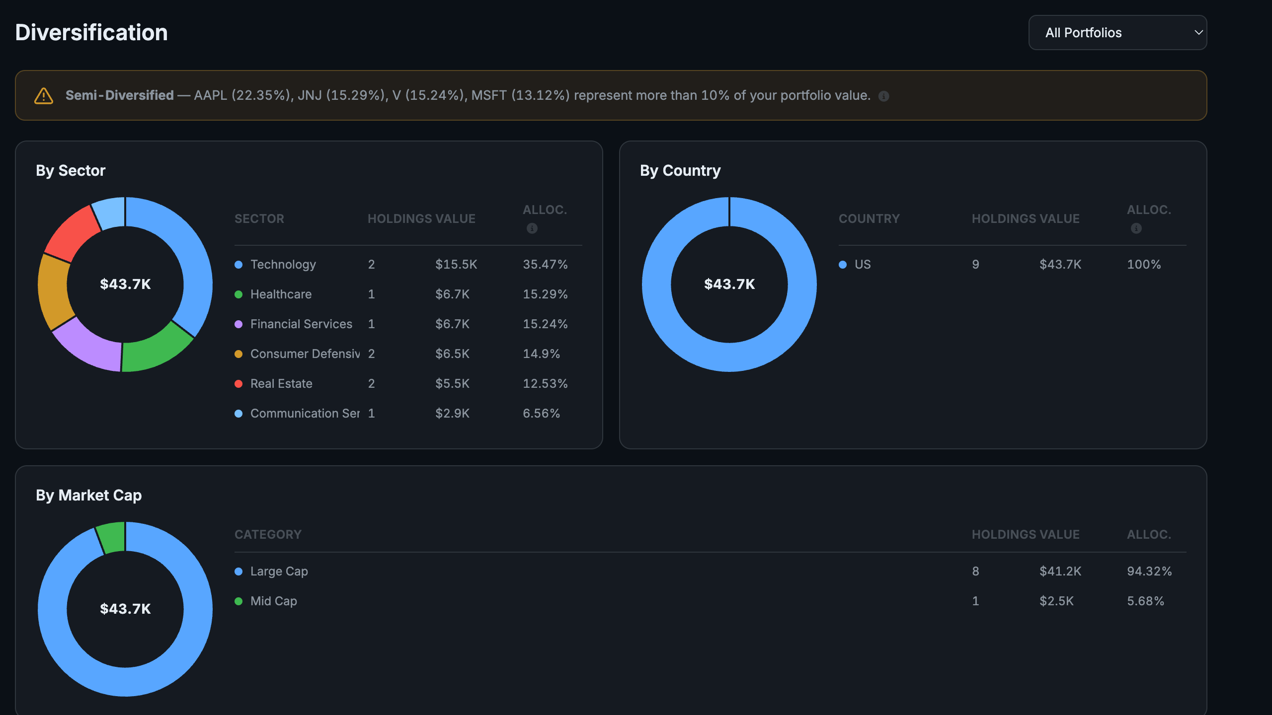 Diversification view with sector, country, and market cap allocation donut charts and a concentration warning banner